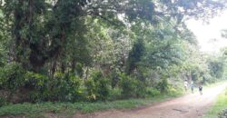 584 SQM Residential Lot in Montalban Rizal
