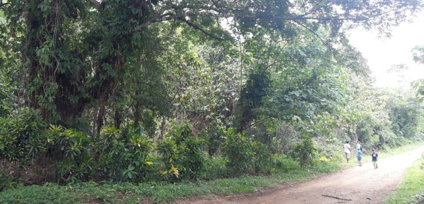 584 SQM Residential Lot in Montalban Rizal