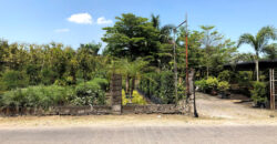 10,000 SQM Agricultural Lot in Calumpit, Bulacan