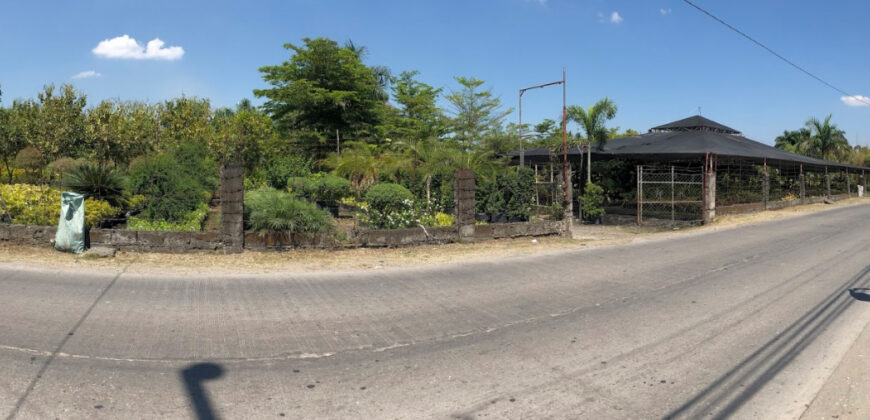 10,000 SQM Agricultural Lot in Calumpit, Bulacan