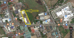 8,162 SQM Commercial Property in Calasiao, Pangasinan