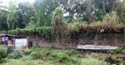 19,583 SQM Land with Hot Spring in Tiaong, Quezon
