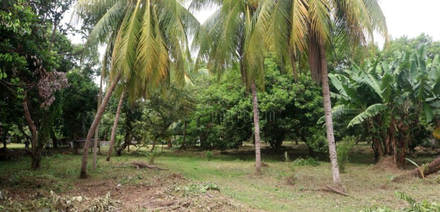 19,583 SQM Land with Hot Spring in Tiaong, Quezon