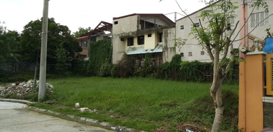 154 SQM Residential Lot in Eastwood Greenview Montalban