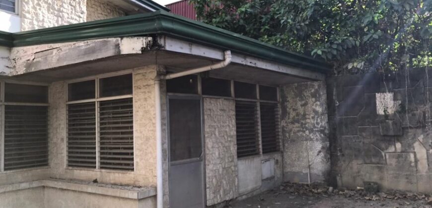 For sale! 380 sqm Old house in Industrial Valley, Subdivision, Marikina