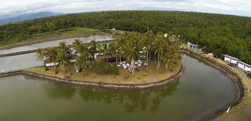 REPRICED! Beachfront/Resort/Fishpond Property in San Juan Batangas