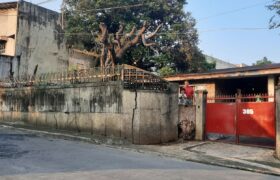 Commercial/Residential lot in Dumalay Novaliches, Quezon City