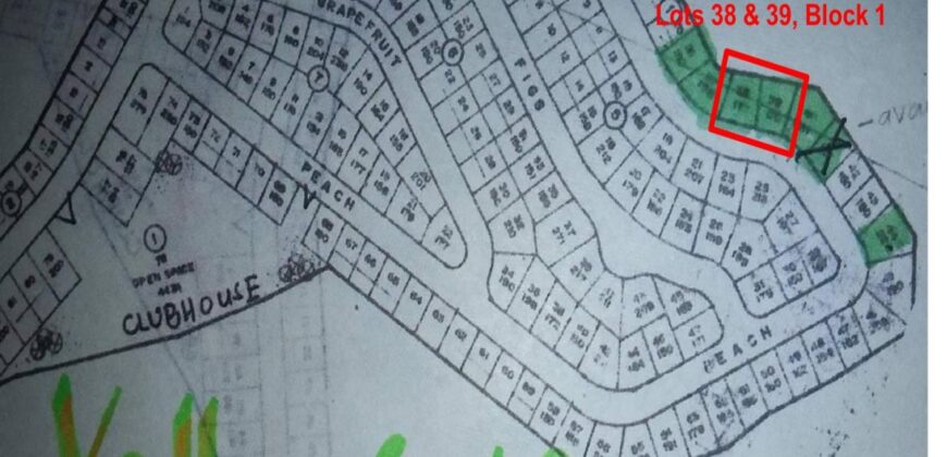 TWO ADJACENT LOT IN ANTIPOLO