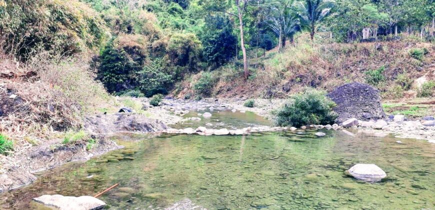 Must-See Agricultural / Tourism lot in Tanay, Rizal near Daranak Falls