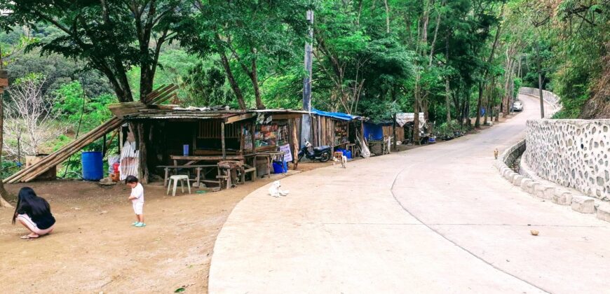 Must-See Agricultural / Tourism lot in Tanay, Rizal near Daranak Falls