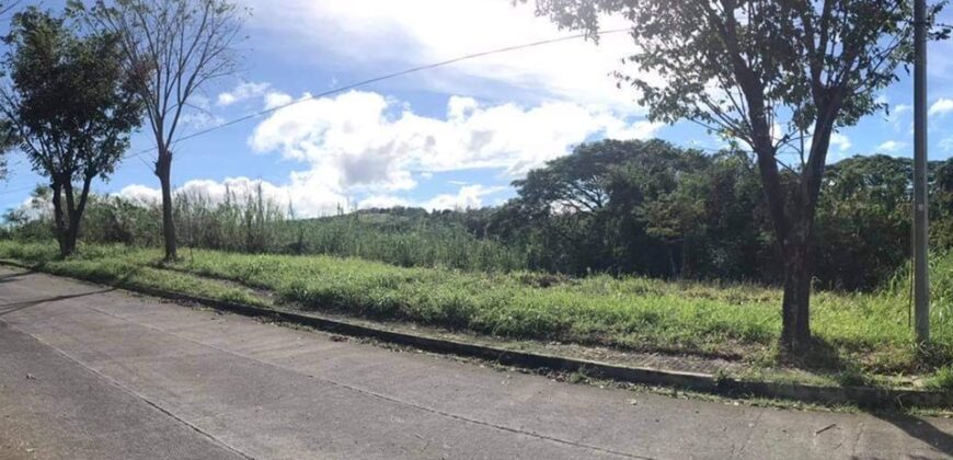 Vacant lot in Eastland Heights in Antipolo City