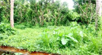 FOR SALE: LAND WITH HOT SPRING IN TIAONG QUEZON