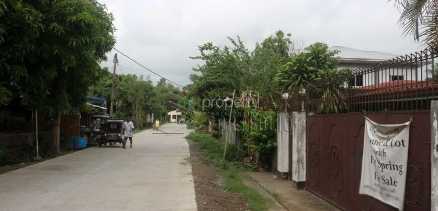 FOR SALE: LAND WITH HOT SPRING IN TIAONG QUEZON