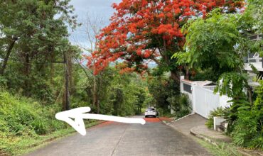 Vacant lot in Palos Verdes, Antipolo 631 sqm