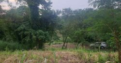 Rush sale lot in Sun Valley Phase 4 Antipolo – 306 sqm