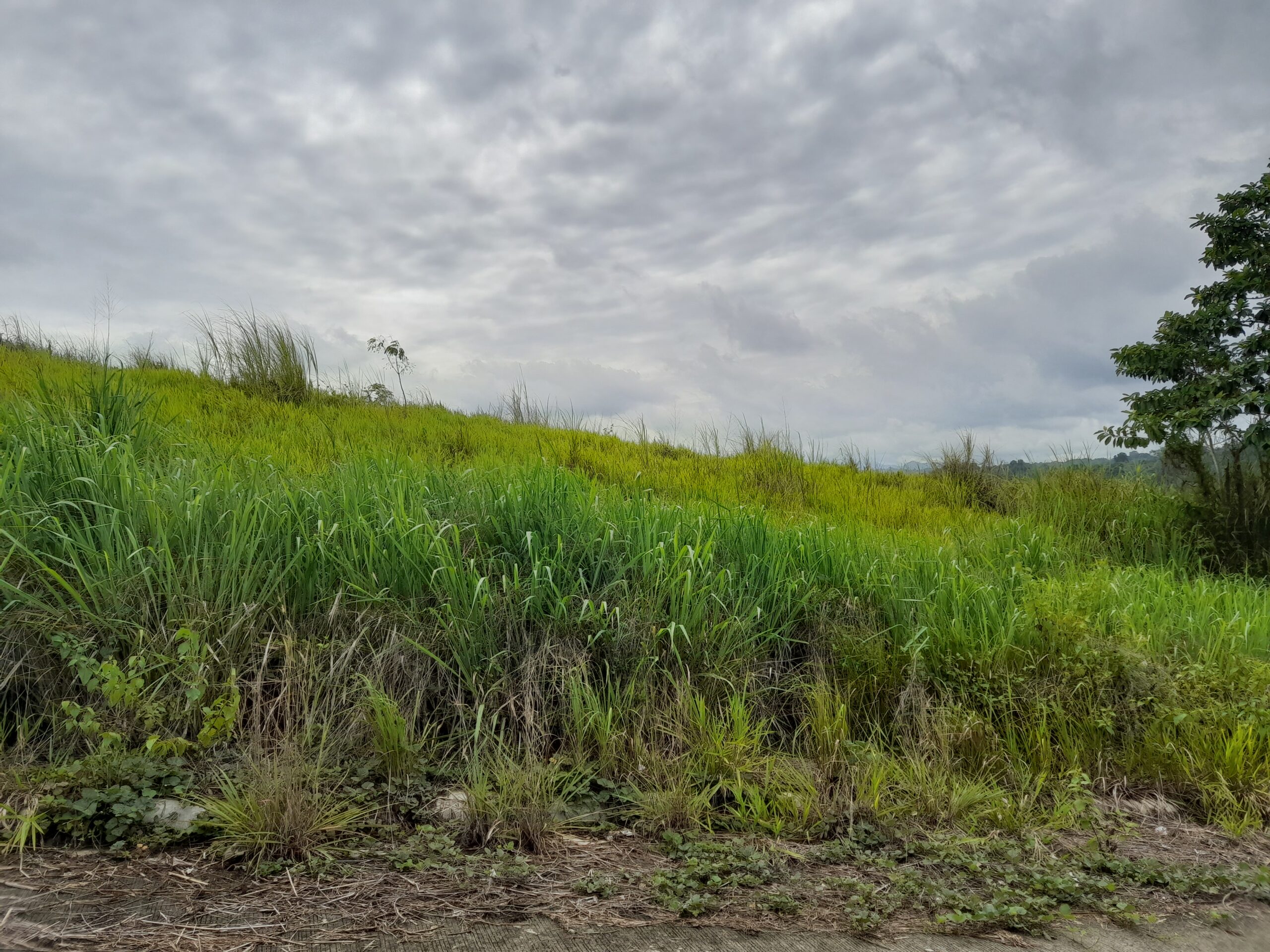 556sqm. Vacant Lot Eastland Heights Subdivision in Antipolo, Rizal