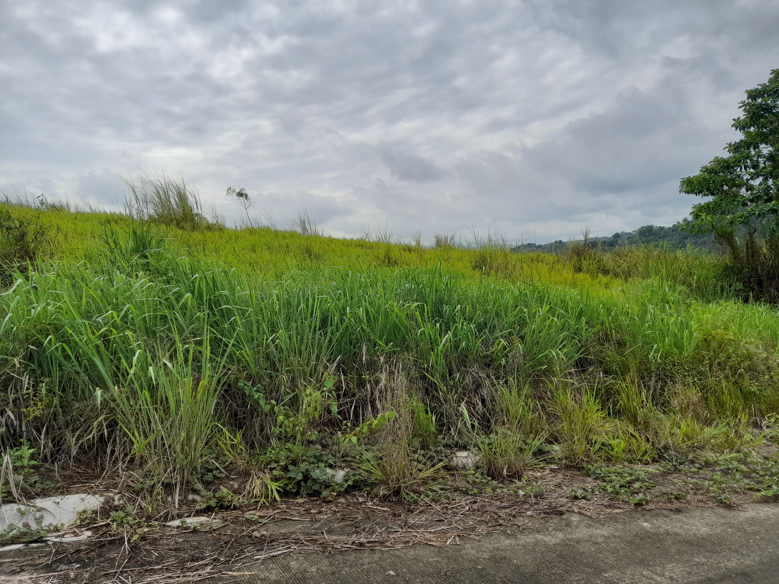 556sqm. Vacant Lot Eastland Heights Subdivision in Antipolo, Rizal