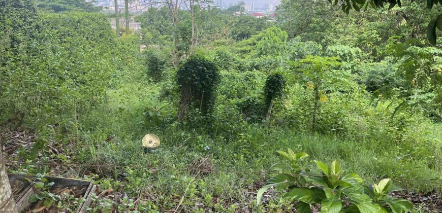 1896 sqm Clear City View Vacant Lot in Valley Golf Village, Antipolo