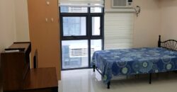 Studio Condo in The Viceroy, McKinley, Taguig (17G)