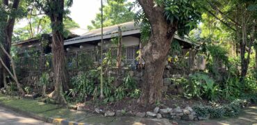 606sqm Classic Huge House and Lot in Alpha Village Capitol Hills