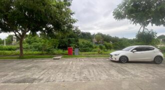 446sqm Vacant Lot in Lindenwood Residences, Muntinlupa