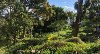 1,624sqm Vacant Lot Overlooking Taal in Tagaytay