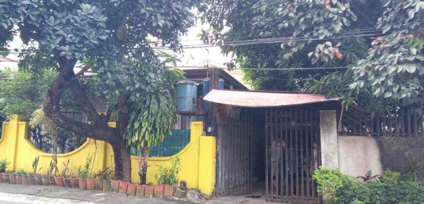 Vacant Lot in Hobart Subd. Novaliches, Quezon City