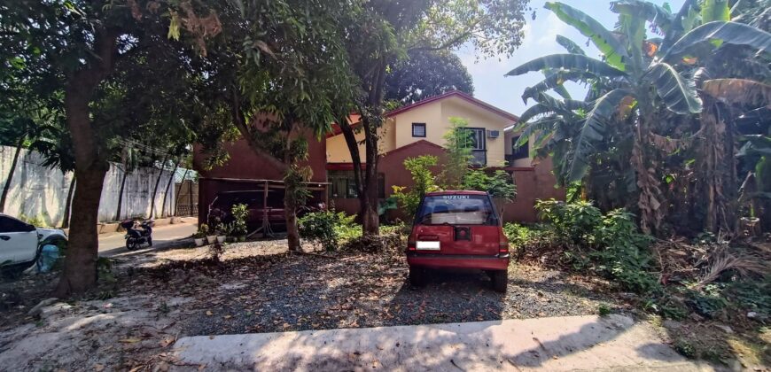 Private 232 sqm. Residential Lot in Town and Country, Antipolo City for Php 5,4 million❗