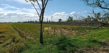 10,358 sqm Agricultural Lot Cabanatuan, Nueva Ecija