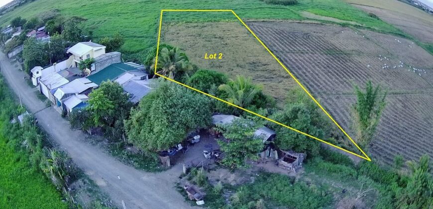 3,704 sqm Agricultural Lot Cabanatuan, Nueva Ecija