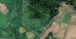 68,580 sqm Agricultural Lot, Busuanga, Palawan