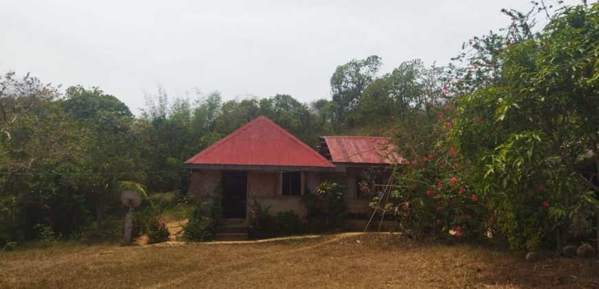 68,580 sqm Agricultural Lot, Busuanga, Palawan