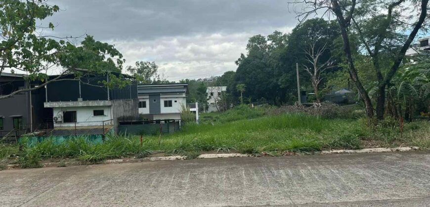160 sqm Vacant Lot in Kingsville Royale, Antipolo.