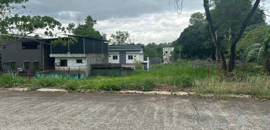 160 sqm Vacant Lot in Kingsville Royale, Antipolo.