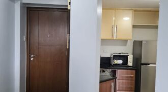 2 Bedroom Unit with 2 Balconies in Parkside Villa, Pasay City