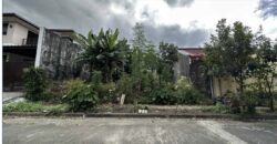 300 SQM Vacant Lot in Sacred Heart Village, Quezon City