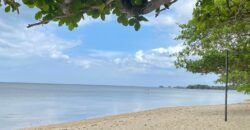 318 SQM Beach Lot in Playa, Calatagan, Batangas