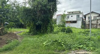 257 SQM Vacant Lot in Greenwoods Executive Village, Pasig City