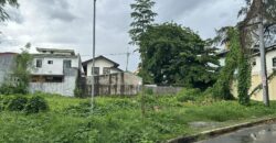 257 SQM Vacant Lot in Greenwoods Executive Village, Pasig City