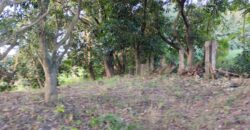 680sqm Lot in Parkridge, Valley Golf with Unobstructed City View in Antipolo, Rizal.