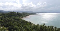 Beach Front Property Poblacion in San Vicente, Palawan