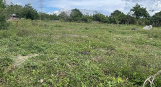 9,139 SQM Farm or Residential Lot for Subdivision Use in Sariaya, Quezon