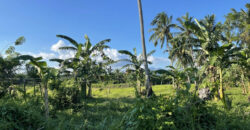 21,148 SQM Agricultural or Farm Land in Sariaya, Quezon