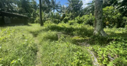 9,934 SQM Commercial/Residential Lot in Sto. Cristo Sariaya, Quezon