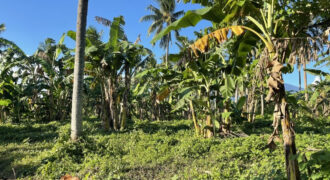 21,148 SQM Agricultural or Farm Land in Sariaya, Quezon