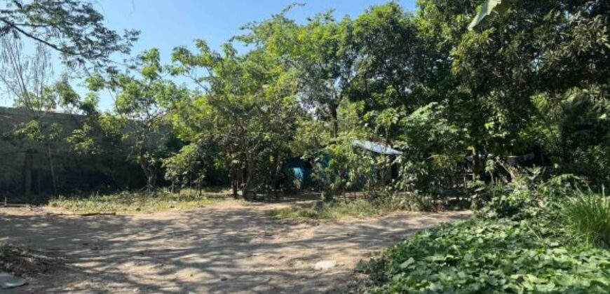 Residential / Commercial Lot in Candelaria, Quezon