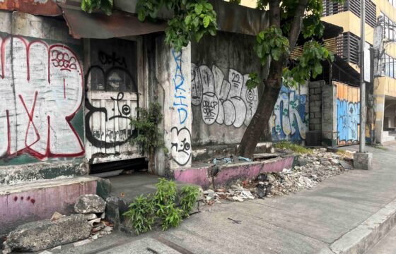Lot in a Prime Location V. Luna, Quezon City