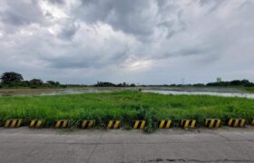 1- Hectare Lot in Balagtas, Bulacan