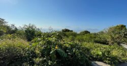 7,391 sqm Residential Lot in Jala-Jala, Rizal