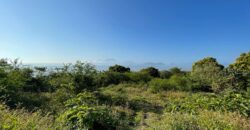 7,391 sqm Residential Lot in Jala-Jala, Rizal